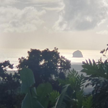 Villa Les Mahoganys Riviere-Salee Buitenkant foto