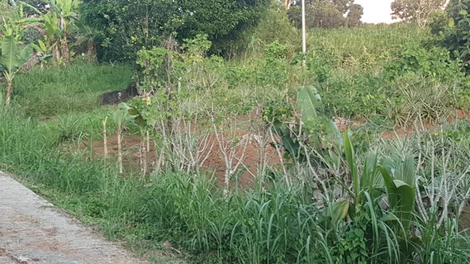 Villa Les Mahoganys Riviere-Salee Buitenkant foto