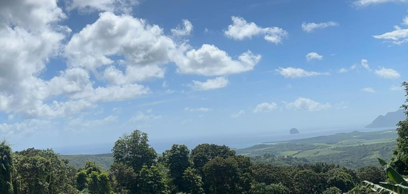Villa Les Mahoganys Riviere-Salee Buitenkant foto