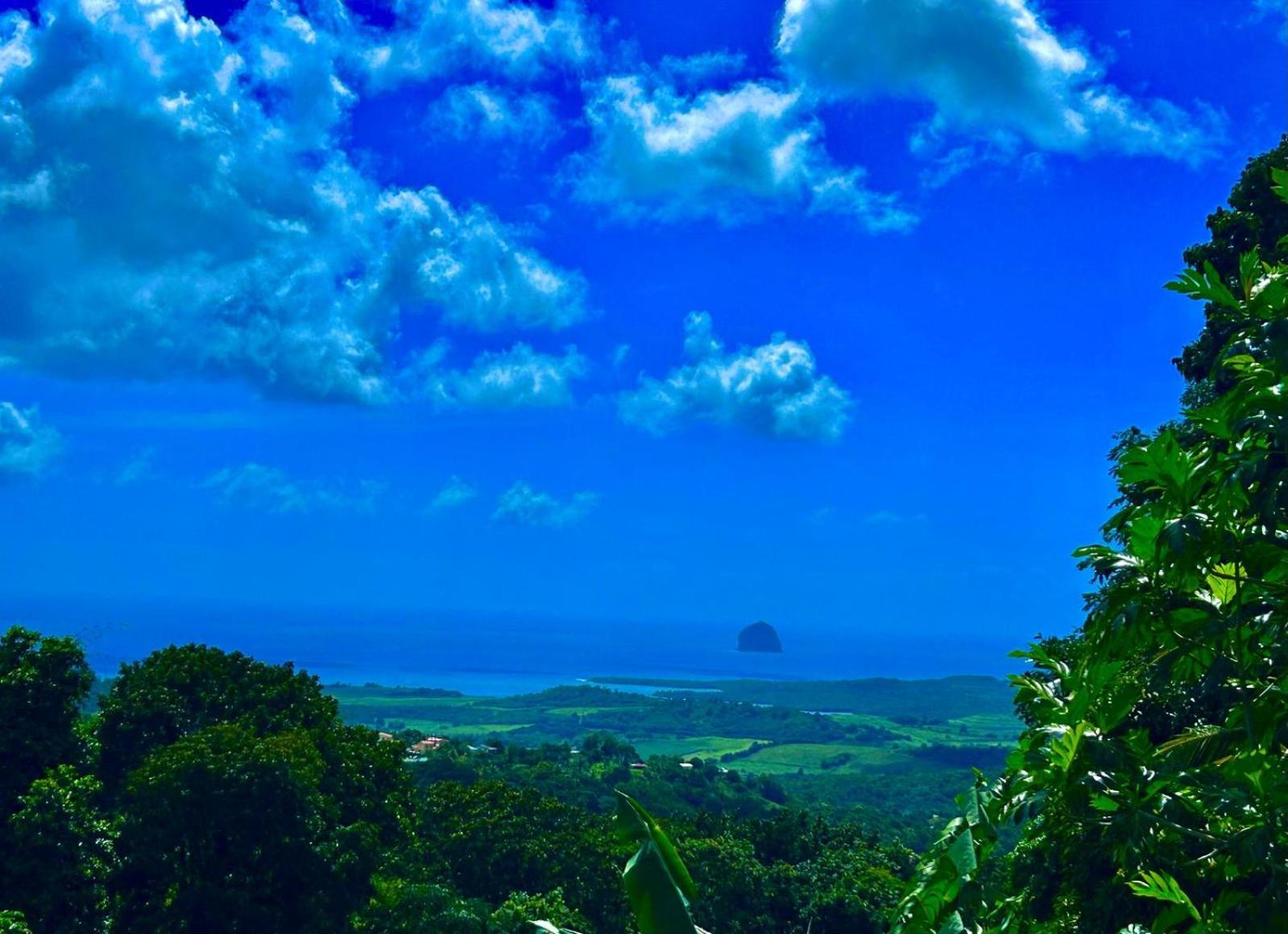 Villa Les Mahoganys Riviere-Salee Buitenkant foto