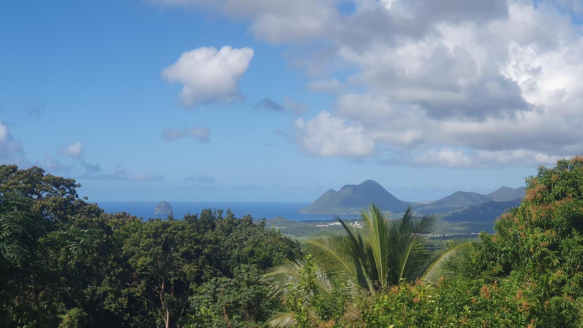 Villa Les Mahoganys Riviere-Salee Buitenkant foto