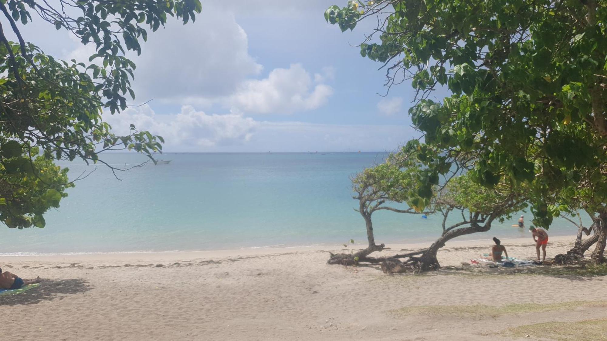 Villa Les Mahoganys Riviere-Salee Buitenkant foto